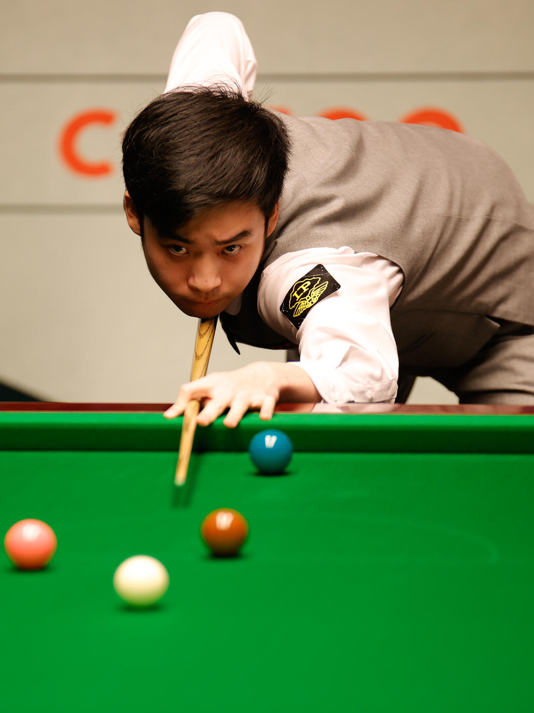 王楚钦的实 王楚钦的实