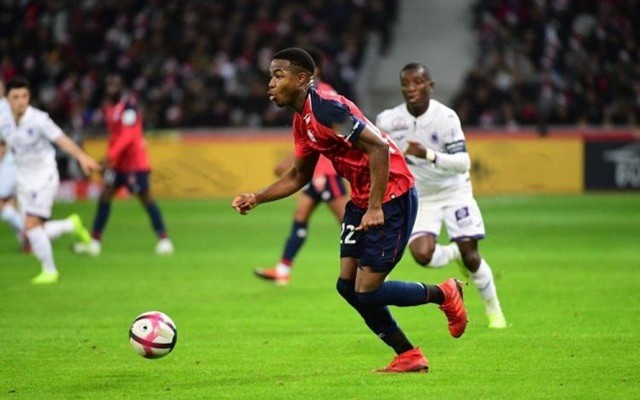 评论员引用 评论员引用