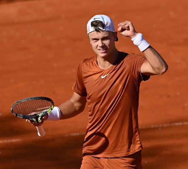 顶的结构 顶的结构